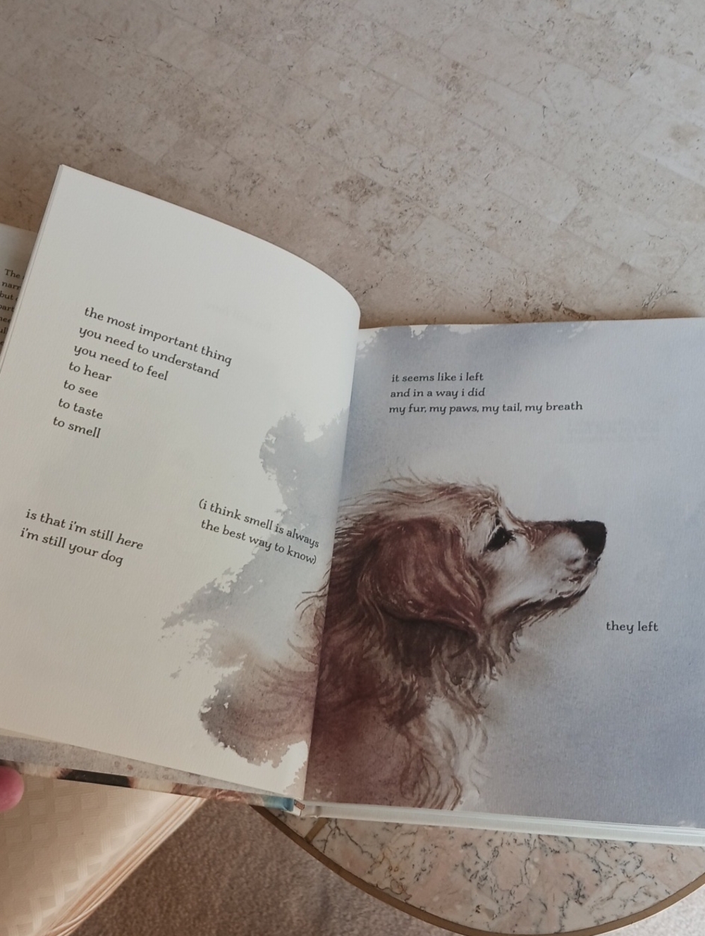 Book- I'm Still here...a Dogs Purpose Forever..(New Book)... - Picture 5 of 12